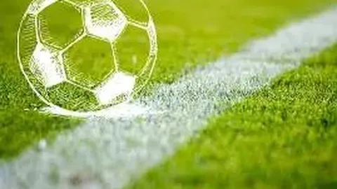 大乐透期号专家质合分析推荐前区十码技巧